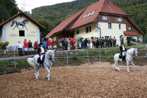 "Falls Sie einen Stall oder eine Wohnung suchen